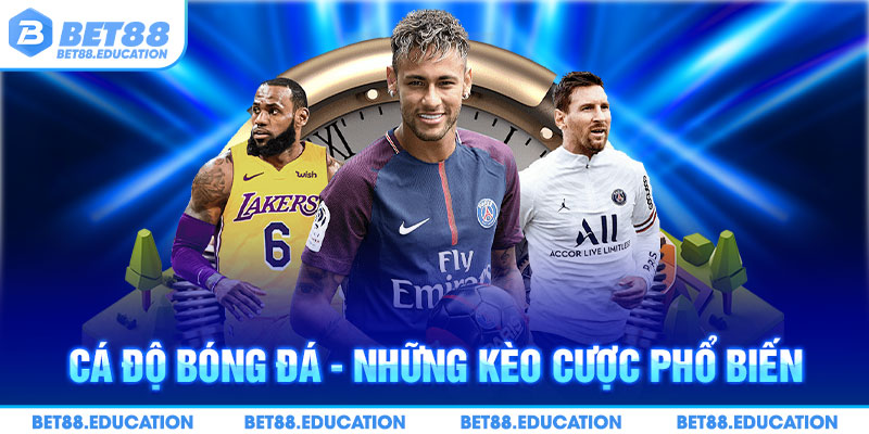 cá độ bóng đá