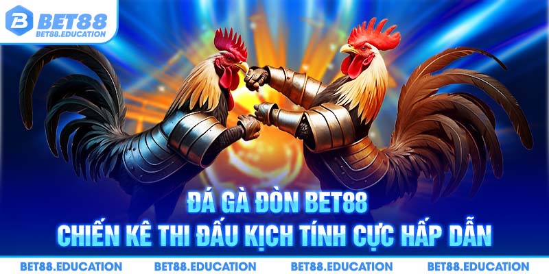 đá gà đòn