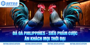 đá gà Philippines