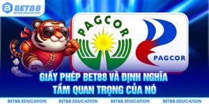 Giấy phép Bet88 và định nghĩa tầm quan trọng của nó